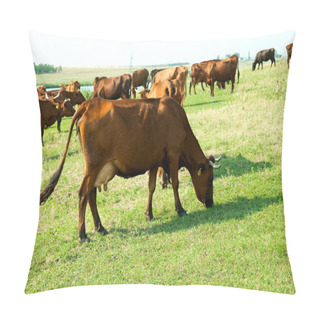 Personality  Red Steppe Cows Pillow Covers