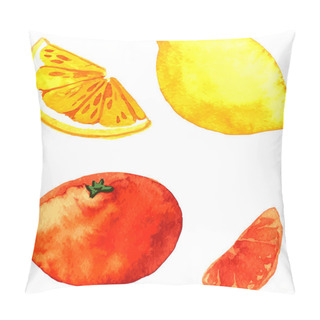 Personality  Watercolor Citrus Fruits Pillow Covers