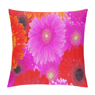 Personality  Gerberas Pillow Covers