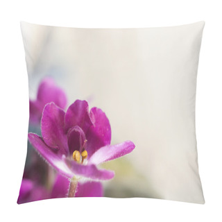 Personality  Saintpaulia Pink Pillow Covers