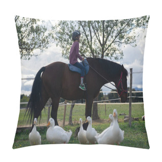 Personality  Boy On A Horse Surrounded By Ducks Pillow Covers