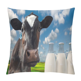 Personality  Cow Spotty. Against The Background Of Meadows And Fields In A Bright Sunny Day.Cow Spotty.  Pillow Covers