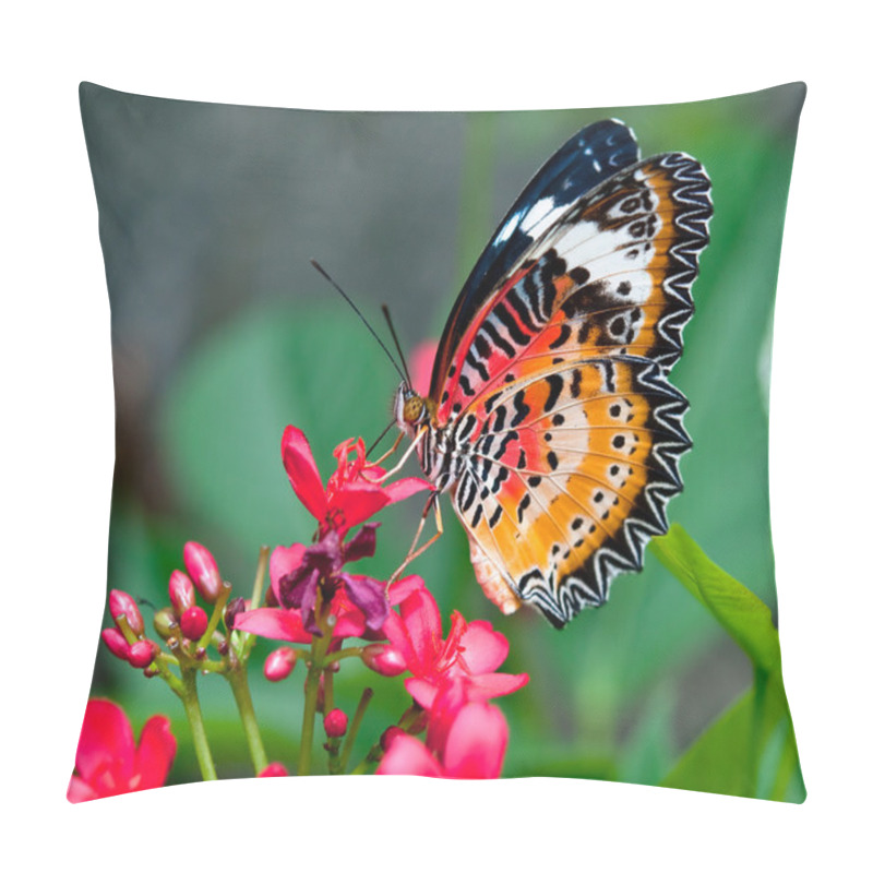 Personality  The Butterfly pillow covers