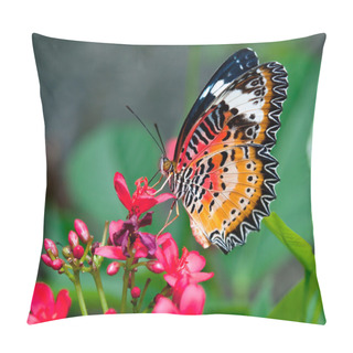 Personality  The Butterfly Pillow Covers