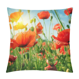 Personality  Poppies Field In Rays Sun Pillow Covers