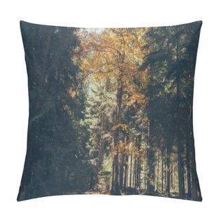 Personality  Autumnal Scenic Mountain Forest In Carpathians, Ukraine Pillow Covers