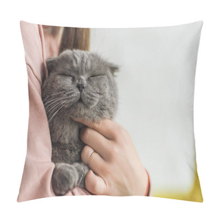 Personality  Cropped Shot Of Woman Carrying Adorable Scottish Fold Cat Pillow Covers