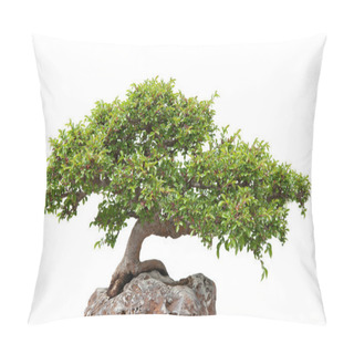 Personality  Green Bonsai Tree Growing On A Rock Pillow Covers