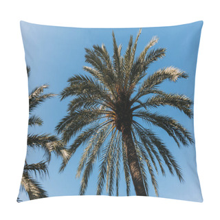 Personality  Tall Straight Green Palm Trees On Blue Sky Background, Barcelona, Spain Pillow Covers