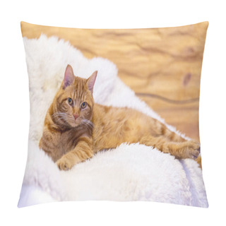 Personality  A Red Tabby Cat Lies In A White Armchair In The Living Room Pillow Covers