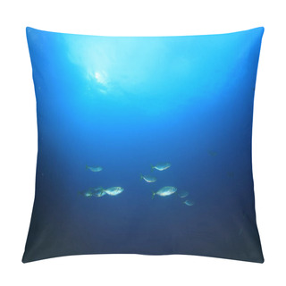 Personality  Marine Inhabitants With Underwater Scene In Deep Blue Ocean Pillow Covers