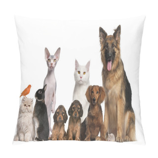 Personality  Group Of Pets: Dog, Cat, Bird, Rabbit Pillow Covers