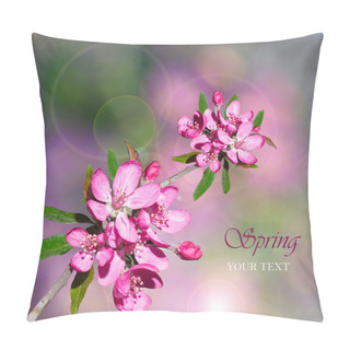 Personality  Sprig Of Beautiful Cherry Blossom Pillow Covers