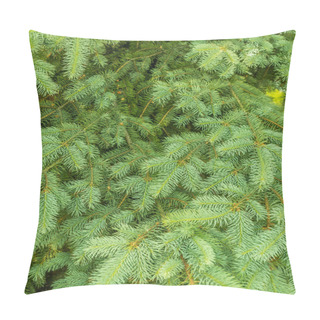 Personality  Pine Branches At Springtime. Pillow Covers