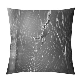 Personality  Spider In Web Pillow Covers