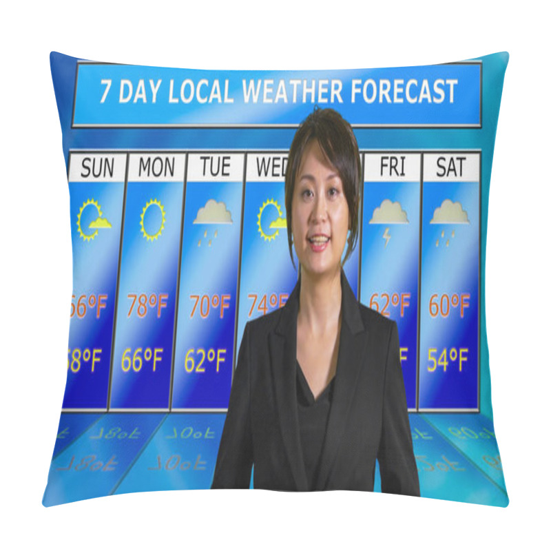 Personality   Asian American Meteorologist Reporting Weather Pillow Covers