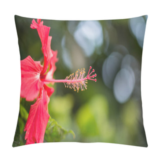 Personality  Hibiscus Rosa-sinensis, Or Chinese Hibiscus, China Rose, Hawaiian Hibiscus, Rose Mallow, A Species Of Tropical Hibiscus, A Flowering Plant In The Hibisceae Tribe Of The Family Malvaceae Pillow Covers