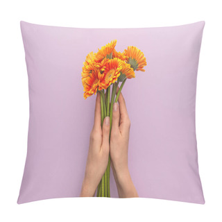 Personality  Cropped View Of Woman Holding Orange Gerbera Flowers On Violet Background Pillow Covers