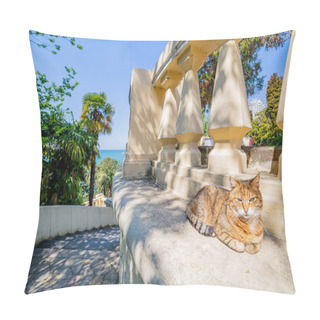 Personality  The Cat Lies Under Palm Trees On The Marble Embankment Of The Black Sea. Sochi Resort Town. Adler, Russia Pillow Covers