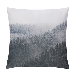 Personality  Amazing Fogy Forest In Germany. Pillow Covers