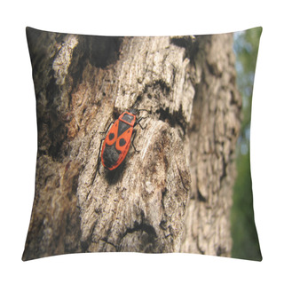Personality  Bedbug-soldier On A Tree Trunk, Super Macro Mode Pillow Covers