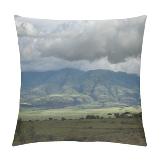 Personality  Scenic View Of Green Trees Near Hill Against Cloudy Sky Pillow Covers