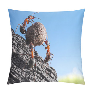 Personality  Team Of Ants Rolls Stone Uphill Pillow Covers