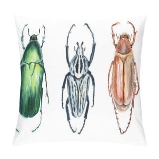 Personality  Beetle. Isolated On White Background.  Pillow Covers