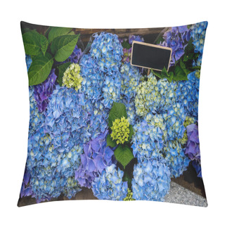 Personality  Blue Pillow Covers