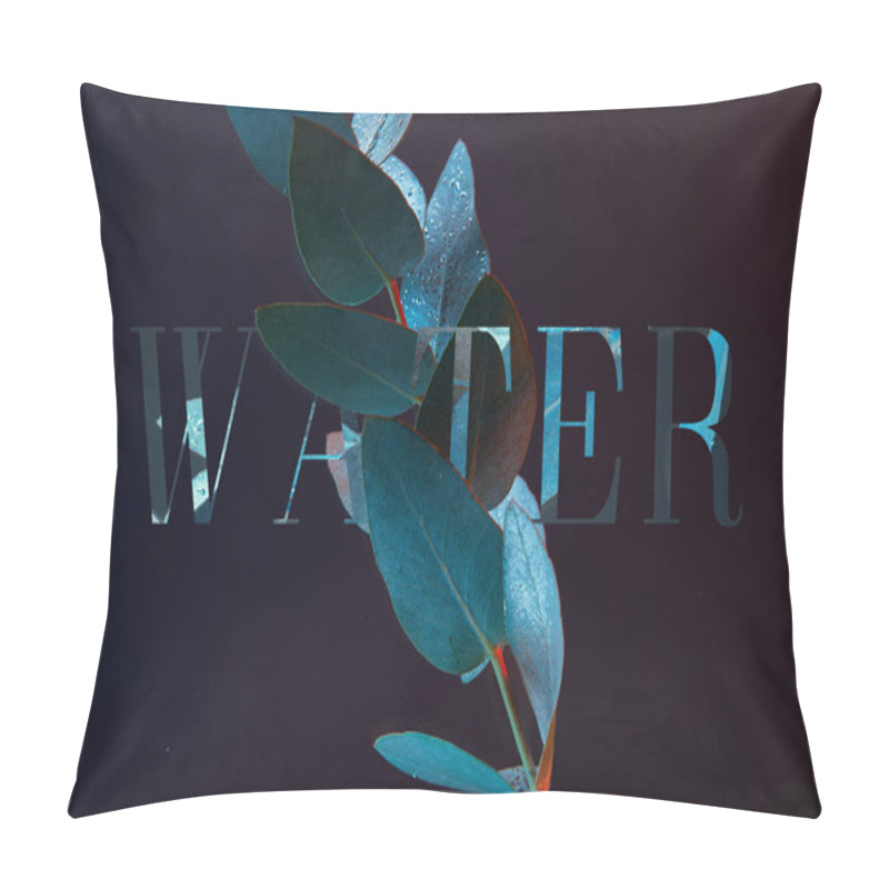 Personality  Close Up View Of Eucalyptus Plant With Green Leaves In Water With Water Lettering Pillow Covers