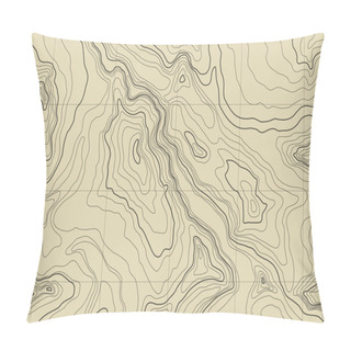 Personality  Abstract Topographic Map Pillow Covers