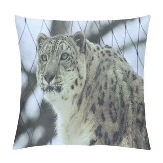 Personality  Alerted Asian Snow Leopard Pillow Covers