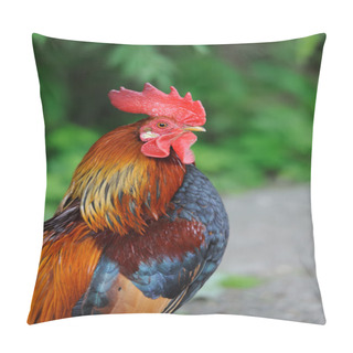 Personality  Rooster Pillow Covers