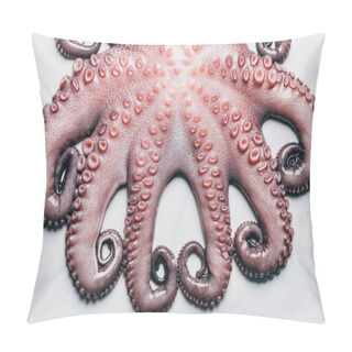 Personality  Top View Of Big Raw Octopus On Light Marble Surface Pillow Covers