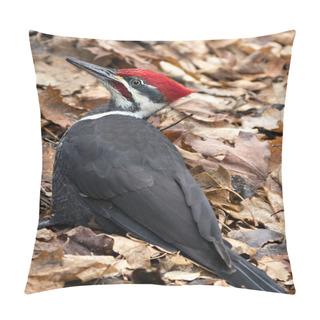 Personality  Woodpecker Bird Close-up Profile View With A Brown Leaves Background In Its Environment And Habitat.  Pillow Covers
