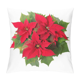 Personality  Poinsettia Pillow Covers