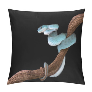 Personality  White-lipped Island Pitviper (Trimeresurus Albolabris Insularis) Pillow Covers