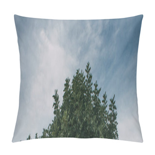 Personality  Panoramic Shot Of Green Leaves On Branches Against Blue Sky  Pillow Covers