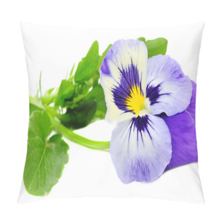 Personality  Pansy Violet Pillow Covers