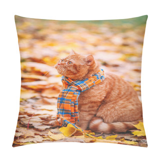 Personality  Beautiful Red British Cat With Yellow Eyes N A Blue Scarf Outdoor. Autumn Cat In Yellow Leaves. Pillow Covers