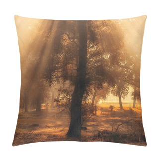 Personality  Beautiful Lights In The Morning Pillow Covers