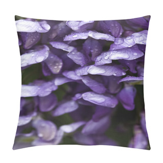 Personality  Close Up Of Wisteria Plant With Raindrops Pillow Covers