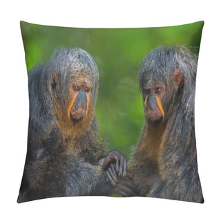 Personality  Two Saki Monkeys Pillow Covers
