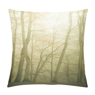 Personality  Trees In Autumn Park Foggy Day Pillow Covers