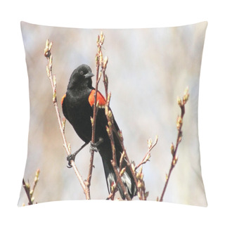 Personality  Red Winged Blackbird Resting On A Tree Branch Pillow Covers