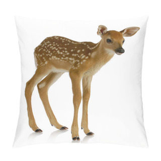 Personality  Fawn Pillow Covers