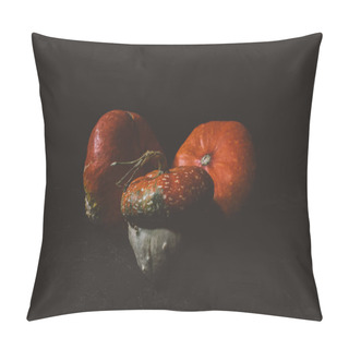 Personality  Squashes Pillow Covers