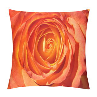 Personality  Orange Rose Pillow Covers