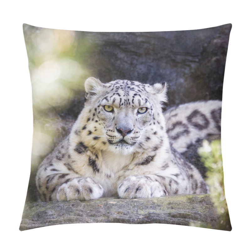 Personality  Attentive snow leopard keeps a watchful eye through the foliage.  pillow covers