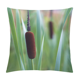 Personality  Bulrush Broadleaf Cattails - Typha Latifolia Pillow Covers